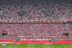 1. FC KÖLN - TSG HOFFENHEIM