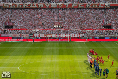1. FC KÖLN - TSG HOFFENHEIM