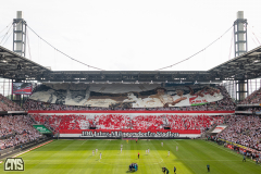 1. FC KÖLN - TSG HOFFENHEIM