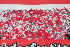 1. FC KÖLN - TSG HOFFENHEIM