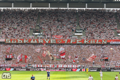 1. FC KÖLN - TSG HOFFENHEIM