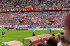 1. FC KÖLN - TSG HOFFENHEIM