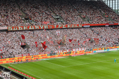 1. FC KÖLN - TSG HOFFENHEIM