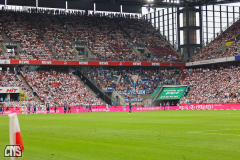 1. FC KÖLN - TSG HOFFENHEIM