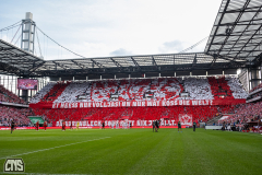 fc_stuttgart_2324_002c