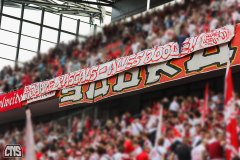 fc_stuttgart_2324_002n