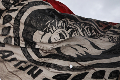 sandhausen_fc_2425_001d