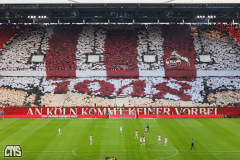 fc_hamburg_2425_001i