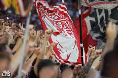 fc_hamburg_2425_001s