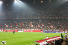 fc_hamburg_2425_002e