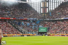 fc_hamburg_2425_002l