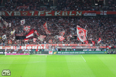 fc_paderborn_2425_001h