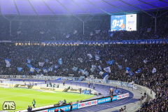 hertha_fc_2425_002q