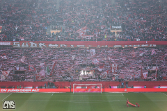 fc_hannover_2425_001f