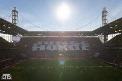 fc_hannover_2425_001g