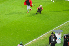 fc_nuernberg_2425_001h