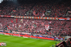 fc_nuernberg_2425_001i