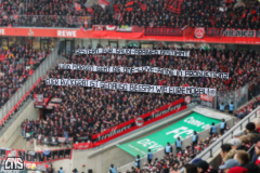 fc_nuernberg_2425_002n