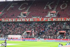 fc_elversberg_2425_001a
