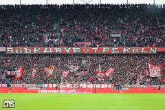 fc_elversberg_2425_001e