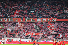 fc_elversberg_2425_001f