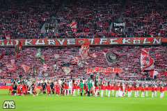 fc_elversberg_2425_001h