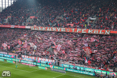 fc_schalke_2425_001m
