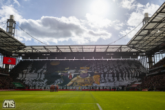 fc_duesseldorf_2425_001f
