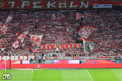 fc_braunschweig_2425_001d