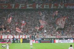 fc_braunschweig_2425_001h
