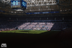 schalke_fc_2425_001s