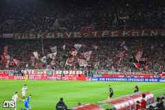 fc_magdeburg_2425_001n