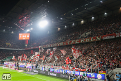 fc_magdeburg_2425_001q