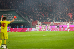 fc_magdeburg_2425_002b