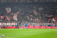 fc_magdeburg_2425_002d