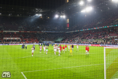 fc_magdeburg_2425_002g