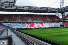 fc_karlsruhe_2425_001s