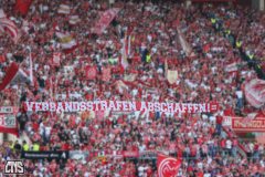 mainz_fc_2526_001w