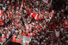 mainz_fc_2526_002a