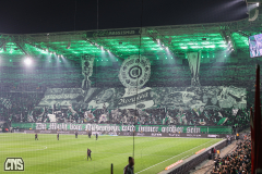 gladbach_fc_2526_002q