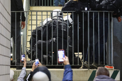 gladbach_fc_2526_002v