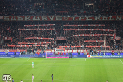 FC_SGE_2526_001q