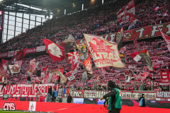 fc_pauli_2526_001e