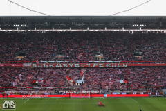 fc_mainz_2526_001c