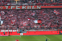 fc_mainz_2526_001e