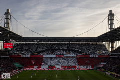 fc_mainz_2526_001f