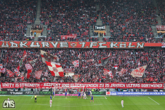 fc_mainz_2526_001j