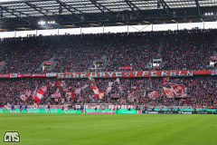 fc_mainz_2526_001p