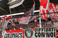 fc_mainz_2526_001r