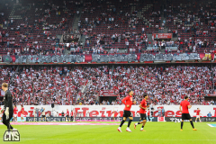 fc_freiburg_2526_001n